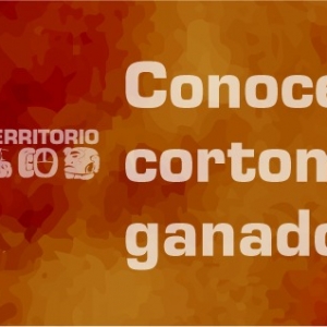 Conoce las obras ganadoras